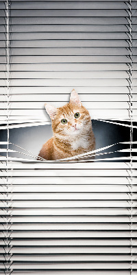 Store intérieur fenêtre pour chat roux
