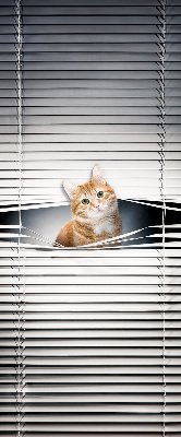 Store intérieur fenêtre pour chat roux