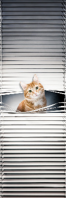 Store intérieur fenêtre pour chat roux