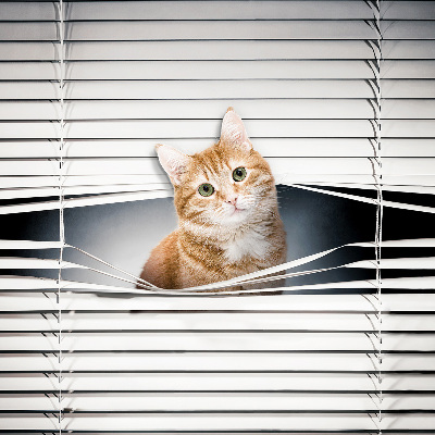 Store intérieur fenêtre pour chat roux