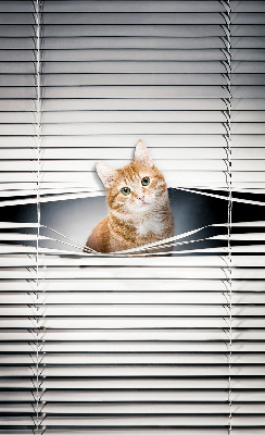 Store intérieur fenêtre pour chat roux