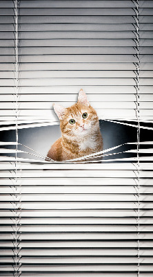 Store intérieur fenêtre pour chat roux