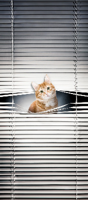 Store intérieur fenêtre pour chat roux