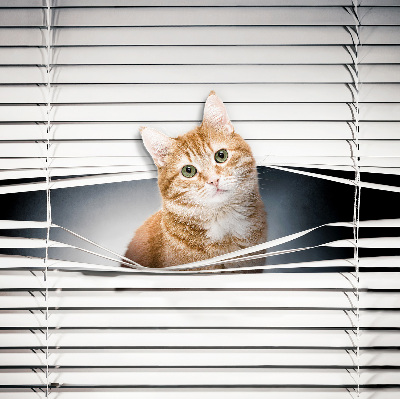Store intérieur fenêtre pour chat roux