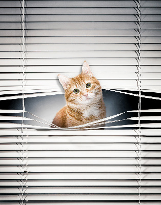 Store intérieur fenêtre pour chat roux