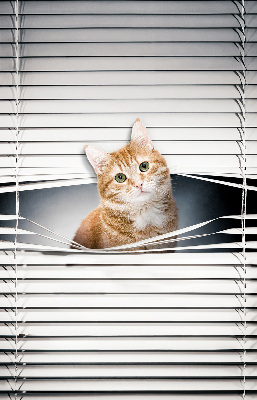 Store intérieur fenêtre pour chat roux