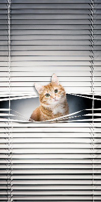Store intérieur fenêtre pour chat roux