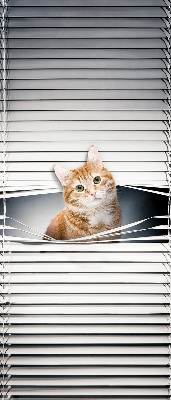 Store intérieur fenêtre pour chat roux