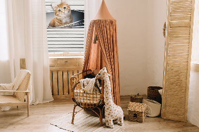 Store intérieur fenêtre pour chat roux