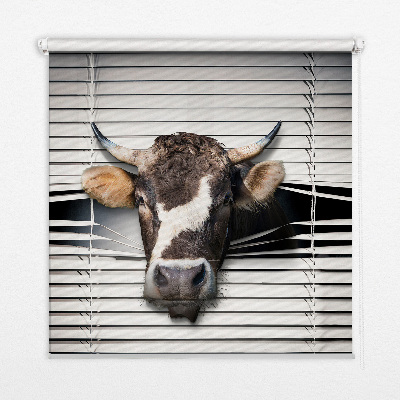 Store enrouleur vache