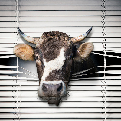 Store enrouleur vache