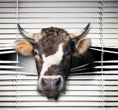 Store enrouleur vache