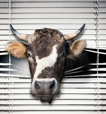 Store enrouleur vache