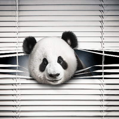 Store intérieur panda