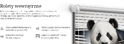 Store intérieur panda
