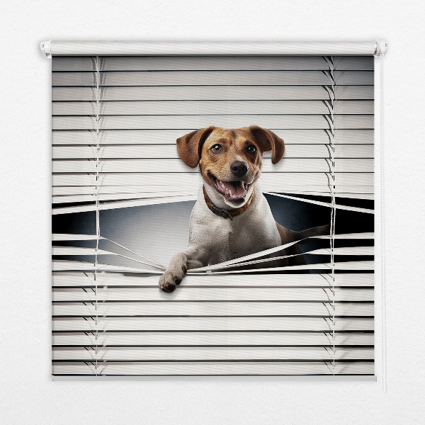 Store intérieur fenêtre pour chien