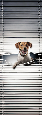 Store intérieur fenêtre pour chien