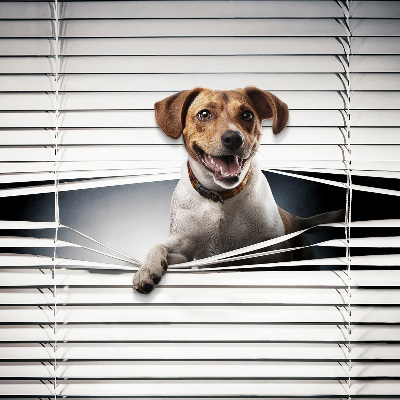 Store intérieur fenêtre pour chien