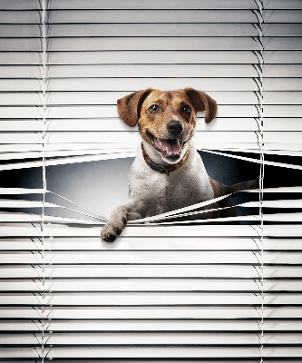 Store intérieur fenêtre pour chien