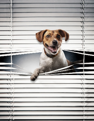 Store intérieur fenêtre pour chien