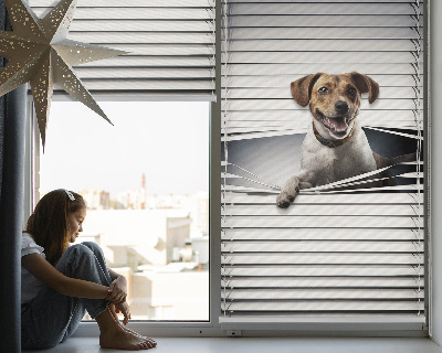 Store intérieur fenêtre pour chien
