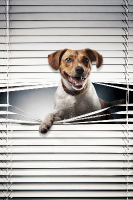 Store intérieur fenêtre pour chien