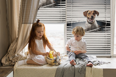 Store intérieur fenêtre pour chien