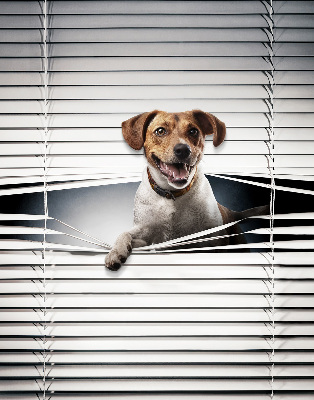 Store intérieur fenêtre pour chien