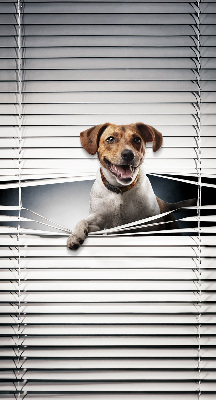 Store intérieur fenêtre pour chien