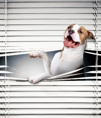 Store enrouleur chien