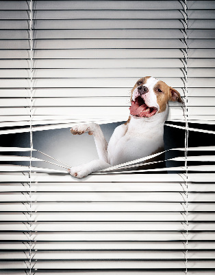 Store enrouleur chien