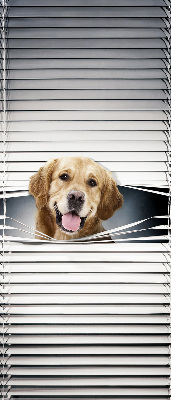 Store intérieur golden dog