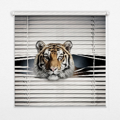 Tigre pour store intérieur fenêtre