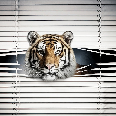 Tigre pour store intérieur fenêtre