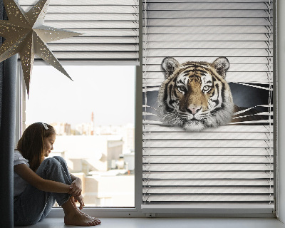 Tigre pour store intérieur fenêtre