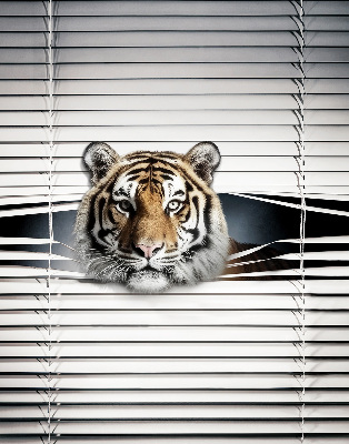 Tigre pour store intérieur fenêtre