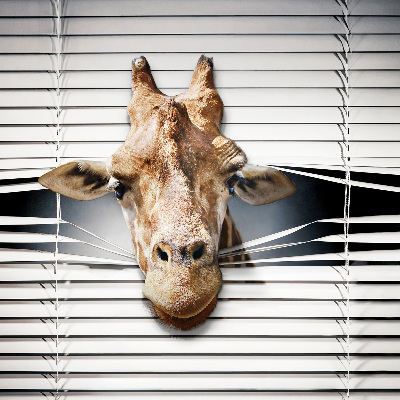 Girafe pour intérieur