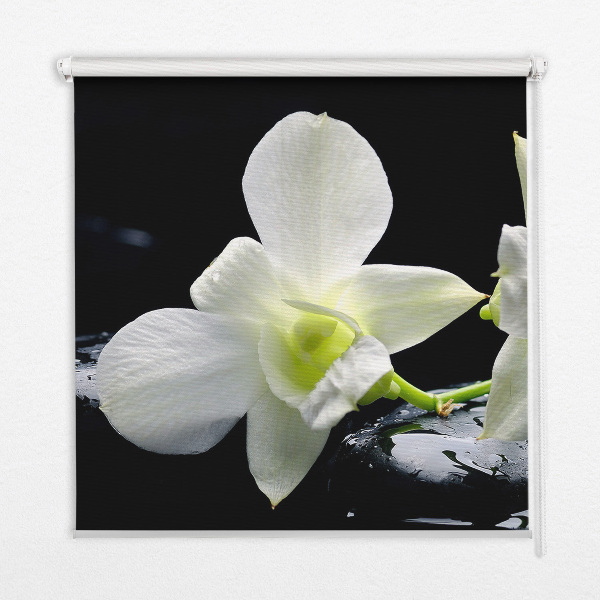 Store occultant fenêtre avec motif orchidées et finition élégante