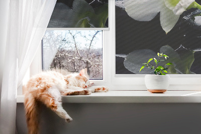 Store occultant fenêtre avec motif orchidées et finition élégante