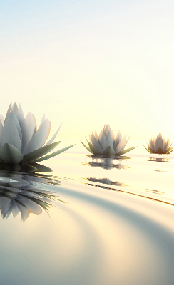 Store enrouleur occultant à motif de nénuphars