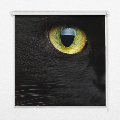 Store occultant fenêtre yeux de chat