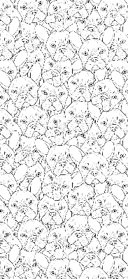 Stores fenêtre intérieur avec motif de chiens dessinés