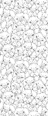 Stores fenêtre intérieur avec motif de chiens dessinés