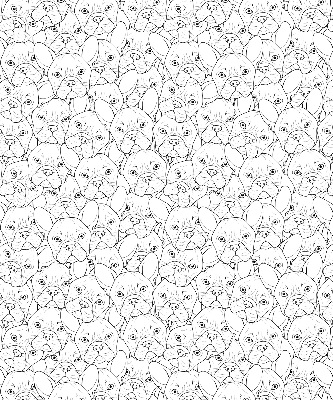 Stores fenêtre intérieur avec motif de chiens dessinés