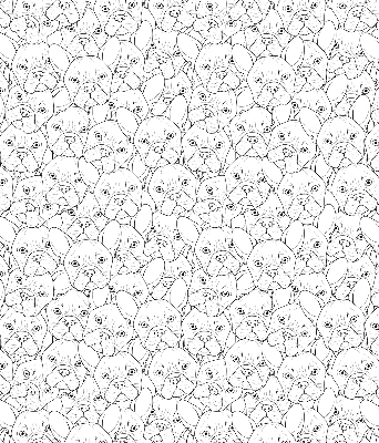 Stores fenêtre intérieur avec motif de chiens dessinés