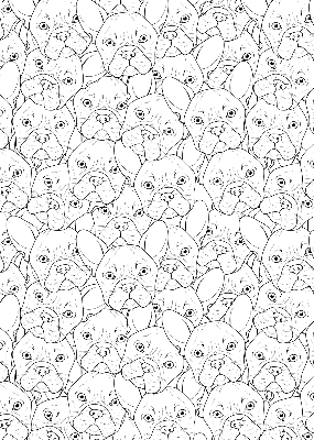 Stores fenêtre intérieur avec motif de chiens dessinés
