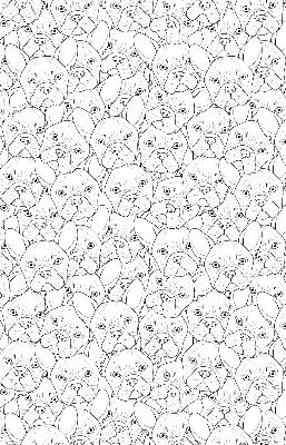Stores fenêtre intérieur avec motif de chiens dessinés