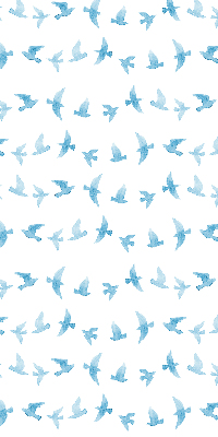 Store occultant fenêtre avec des oiseaux bleus