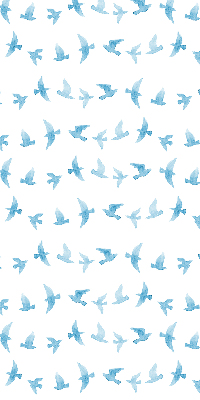 Store occultant fenêtre avec des oiseaux bleus