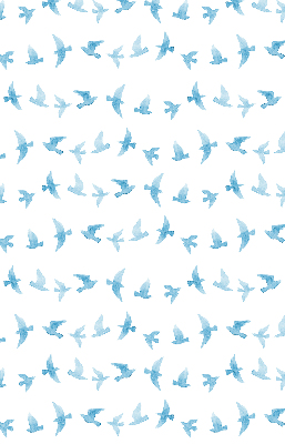 Store occultant fenêtre avec des oiseaux bleus